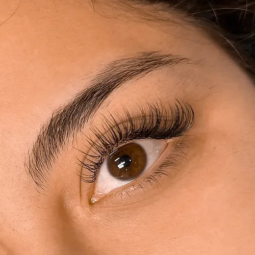 Classic Lashes